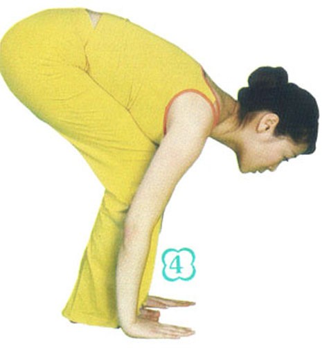 4. Thở ra, hướng người về phía trước duỗi hai tay chống xuống đất ở bên cạnh hai chân, cong người mông hướng về phía sau.