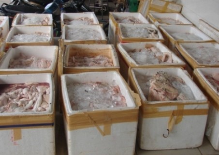 Số lượng nội tạng, thịt thối bị thu giữ tại Chi cục Quản lý thị trường Thanh Hóa