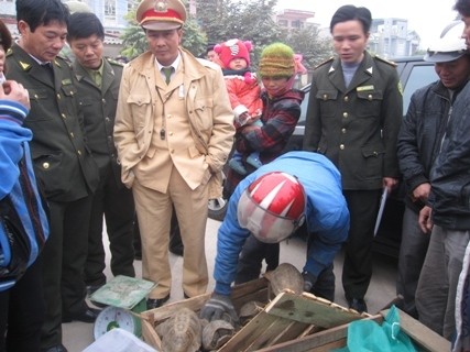 Số lượng động vật hoang dã chưa rõ nguồn gốc bị lực lượng chức năng thu giữ và kiểm tra (Ảnh : internet)