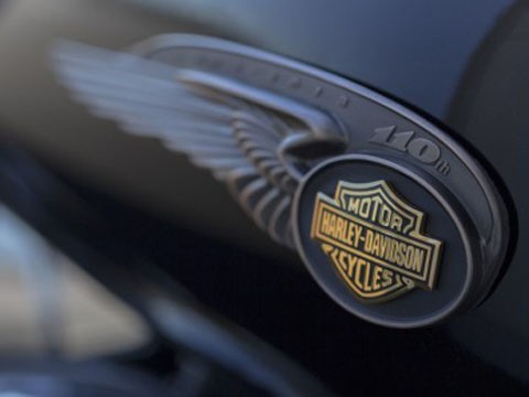 Logo kỷ niệm 110 năm của Harley Davidson.