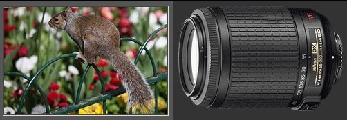 Ống zoom xa: Sau khi mua các ống zoom cơ bản thì chúng ta chuyển sang các ống zoom tầm xa, chẳng hạn như 55-200mm F4.5-5.6 hay 75-300mm F4-5.6.. Các ống kính này thích hợp cho chụp thể thao, động vật hay trẻ em từ xa.