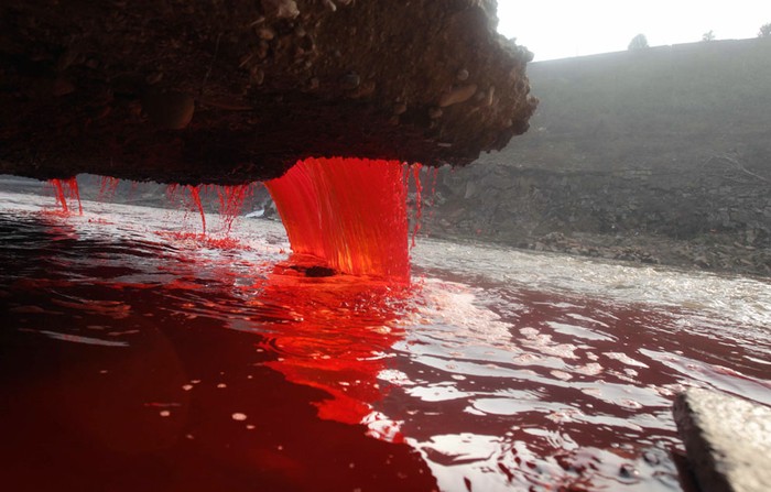 12. Nguồn nước bị ô nhiễm chuyển thành màu đỏ do việc xử lý nước thải bất hợp pháp từ hai nhà máy hóa chất đang chảy từ cống xuống sông Jain tại Luoyang thuộc tỉnh Hà Nam ,Trung Quốc ( 13/12/2011).