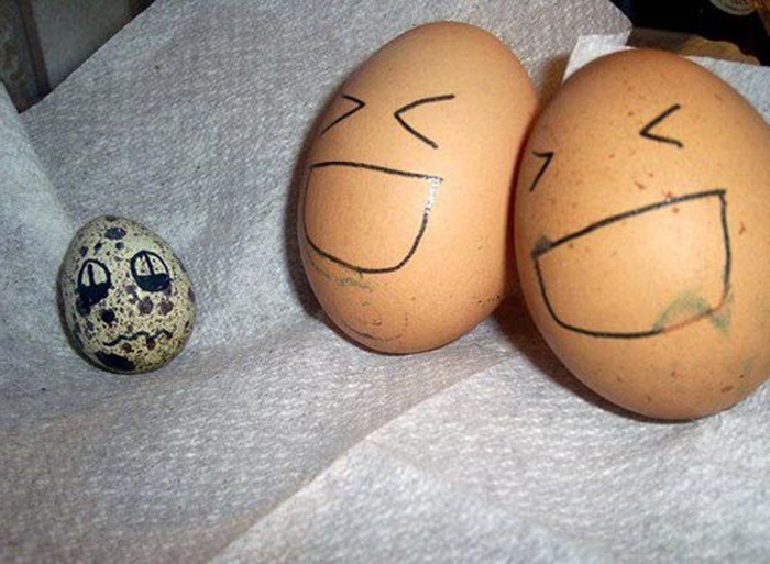 Bố mẹ trứng gà , con trứng chim cút !!!