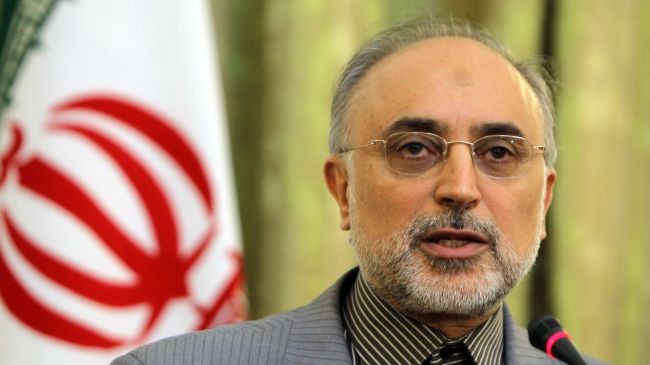 Ngoại trưởng Iran Ali Akbar Salehi.