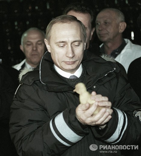 Tháng 2/2000, Tổng thống lâm thời Nga Vladimir Putin thăm trang trại Kolos.
