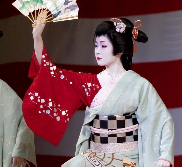 Geisha Nhật Bản là những phụ nữ làm việc trong lĩnh vực biểu diễn nghệ thuật truyền thống. Geisha sử dụng rất thành thục các kỹ năng nghệ thuật truyền thống Nhật Bản, trong đó có âm nhạc, múa và kể chuyện.
