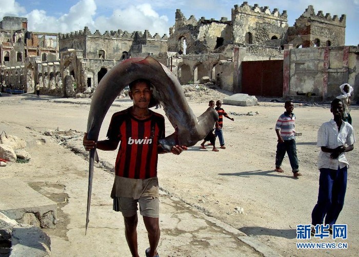 Tại vùng biển ở Somalia có rất nhiều cá ngừ, cá mòi, cá thu, tôm hùm, cá mập và một số loại cá quý hiếm khác đang có nguy cơ bị tuyệt chủng