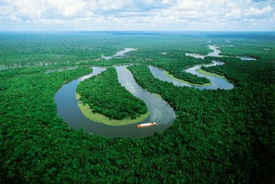 2. Rừng rậm Amazon. Với diện tích 6.700.000 km, Amazon trải rộng trên khắp 9 quốc gia: Bolivia, Brazil, Colombia, Ecuador, Guiana thuộc Pháp, Guyana, Peru, Suriname và Venezuela.