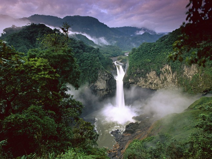 Amazon bao gồm nhiều khu rừng nhiệt đới với gần 600 môi trường sống khác nhau từ trên cạn đến dưới nước ngọt, từ đầm lầy tới đồng cỏ, núi thấp, rừng thấp. Amazon là nhà của 10% các loài động thực vật có nguy cơ bị tuyệt chủng.
