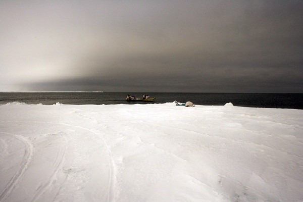 Một nhóm thợ săn Eskimo lại lên thuyền tìm kiếm cá voi