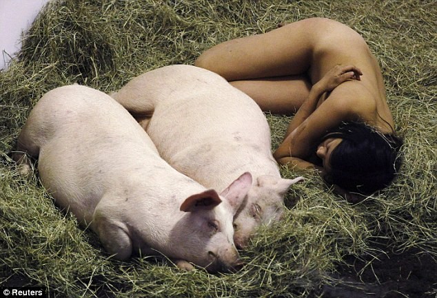 Miru Kim đã quyết định sống chung với những con lợn liên tục 104 giờ trong tình trạng hoàn toàn không mặc gì.