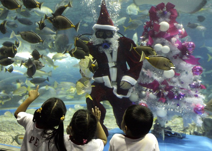 Trẻ em thích thú khi xem ông già Noel bên trong bể cá khổng lồ tại công viên thủy dương học ở Manila, Philippines ngày 7/12/2011