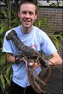 Con tôm hùm dài 0,9 m được bắt tại Anh năm 2007