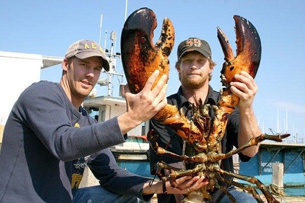 Con tôm hùm nặng 11 kg được bắt tại Nova Scotia, Canada tháng 11/2011