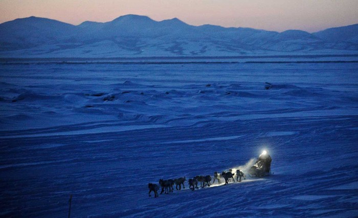 Dallas Seavey đang tiến tới gần trạm dừng chân Unalakleet, Alaska ngày 11/3.