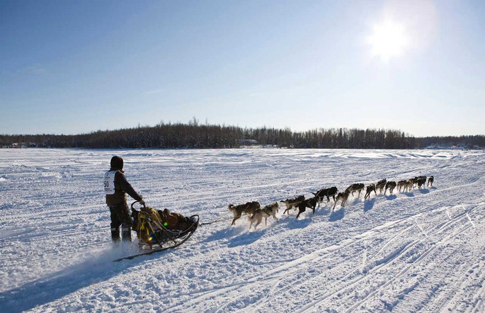 Brent Sass của vùng Fairbanks, Alaska cùng đồng đội 4 chân của mình đang hướng tới đích của cuộc đua tại Willow, Alaska ngày 4/3.