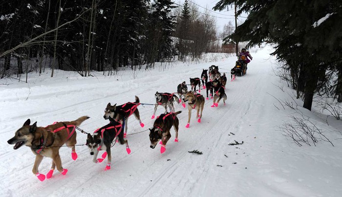 Đoàn xe của DeeDee Jonrowe rời trạm kiểm soát ở Nikolai, Alaska hôm 6/3.