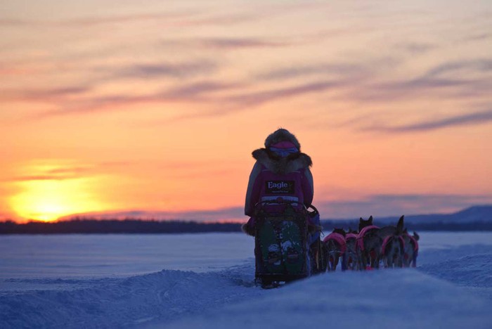 DeeDee Jonrowe dẫn đầu đoàn đua đang vượt Yukon River ngày 9/3.