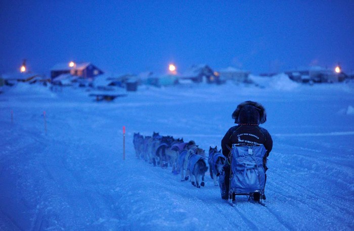 Aaron Burmeister tại Unalakleet, Alaska ngày 11/3.