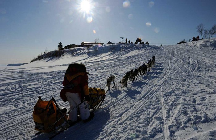 Mitch Seavey tại Yukon River ngày 10/3.