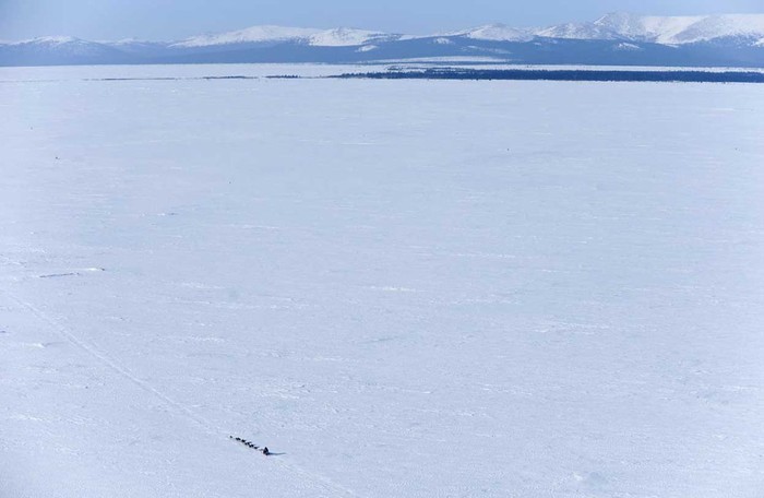 Dallas Seavey đang tiến tới Elim, Alaska ngày 12/3.