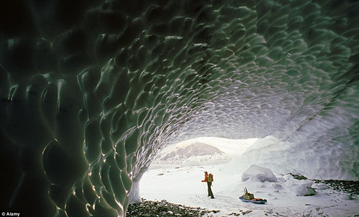 Công viên quốc gia vịnh Glacier làm một khu bảo tồn có nhiều núi non hiểm trở ,sông băng và các bãi biển hoang sơ.