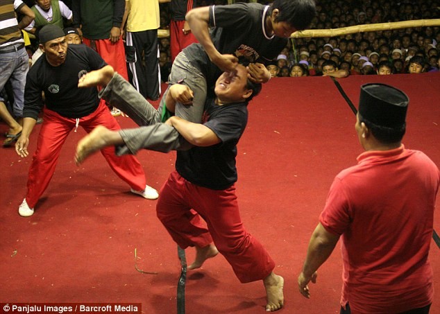 Những người tham gia trận đấu đều được đào tạo tại Pencak Silat, một trường đào tạo võ thuật liên kết với tổ chức Hồi giáo lớn nhất Indonesia, Nahdlatul Ulama.