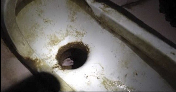 Hình ảnh em bé bị kẹt trong đường ống xả toilet trước khi được giải cứu.