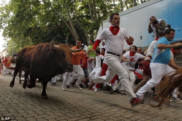 Sau khi rượt đuổi mọi người trên những con phố vào buổi sáng, những con bò sẽ được dẫn đến đấu trường tham gia thi đấu.