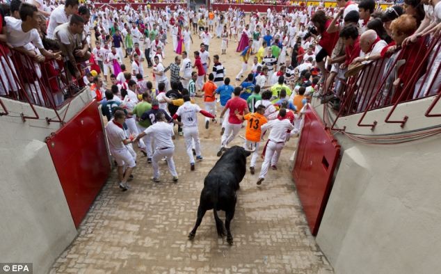 Một con bò tham gia lễ hội có thể nặng tới 625 kg.