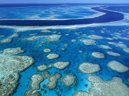 Vỉa san hô khổng lồ (Great Barrier Reef)