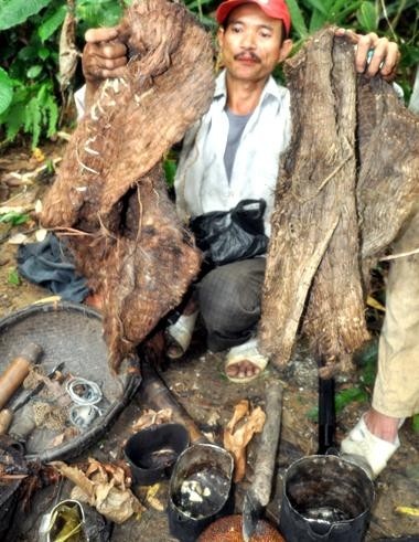 Áo làm từ lá cây để mặc vào mùa đông.