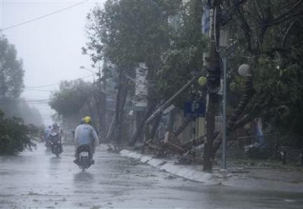 Cây bị quật đổ tại trung tâm thành phố Đà Nẵng.