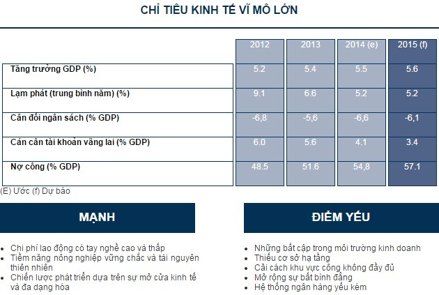 Đánh giá của Coface về thế mạnh và yếu của nền kinh tế Việt Nam.