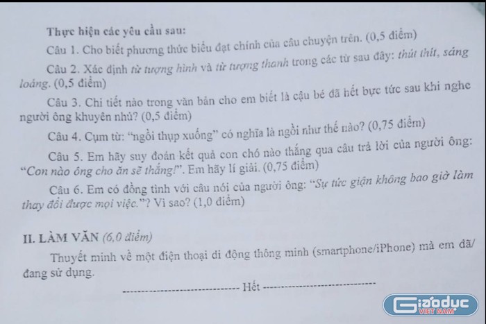 Đề Ngữ văn 9 của Sở Giáo dục và Đào tạo An Giang (Ảnh: L.V.M.)