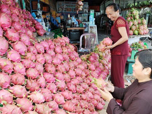 Du khách mua thanh long. Ảnh: Ngọc Lân