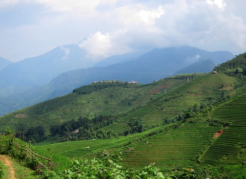 Bên những ruộng bậc thang.