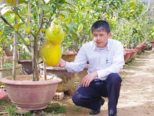 Anh Bùi Văn Sang, con nghệ nhân Mười Lời, bên gốc chanh đặc biệt.