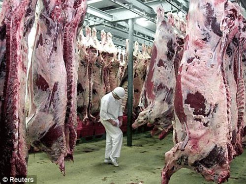 Theo dự báo của tổ chức Food Safety News, thịt nhân tạo sẽ được bán trên thị trường trong năm 2012