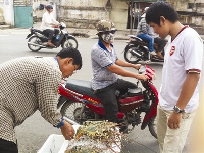 Tôm hùm giá "bèo" bán tràn lan ở lề đường