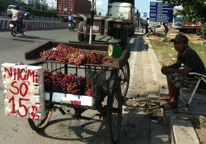 Người bán dùng một tấm xốp ghi lớn dòng chữ để quảng cáo “Nho Mỹ "xổ" (tức giảm giá) 15 ngàn ½ kg” và xem ra “chiến lược” kinh doanh này đạt kết quả khả quan khi có rất nhiều người đi đường dừng lại mua.