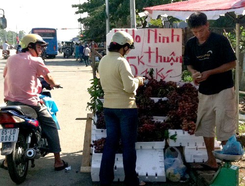 Lợi nhuận hàng triệu đồng mỗi ngày nên người bán không ngần ngại tìm mọi cách đánh lừa người tiêu dùng