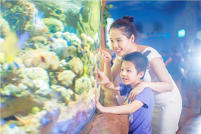 Vinpearlland Aquarium trở thành điểm đến bổ ích, nơi các thành viên trong gia đình hay các nhóm bạn cùng nhau tham quan, khám phá thể giới đại dương đầy bí ẩn.