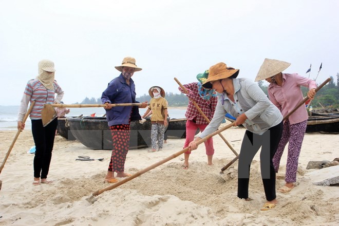 Thu gom và tiêu hủy cá chết. (Ảnh: Trần Tĩnh/TTXVN).