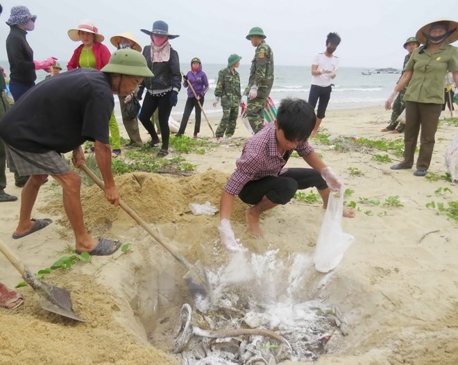 Người dân thu gom những con cá chết dạt vào bờ biển. (Nguồn: TTXVN)