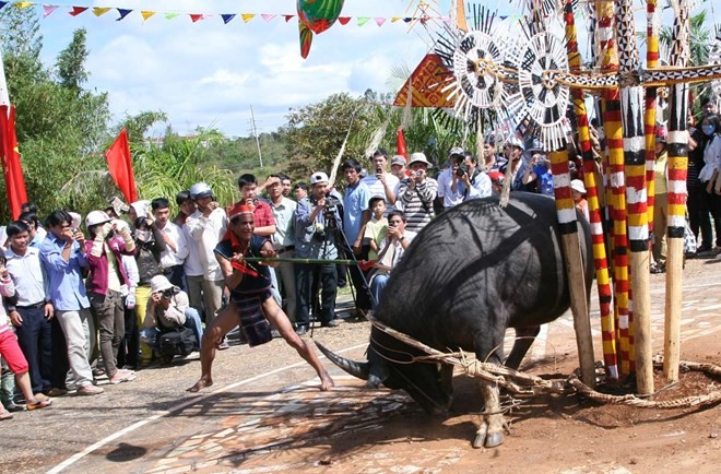 Lễ hội đâm trâu của đồng bào Tây Nguyên