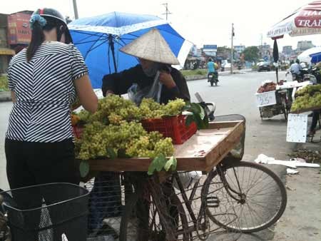 Cục Bảo vệ thực vật (Bộ NN&PTNT) cho biết Cục đã tiến hành lấy mẫu nho Trung Quốc nhập từ của khẩu Lào Cai phát hiện tồn dư lượng thuốc hóa học quá lớn.