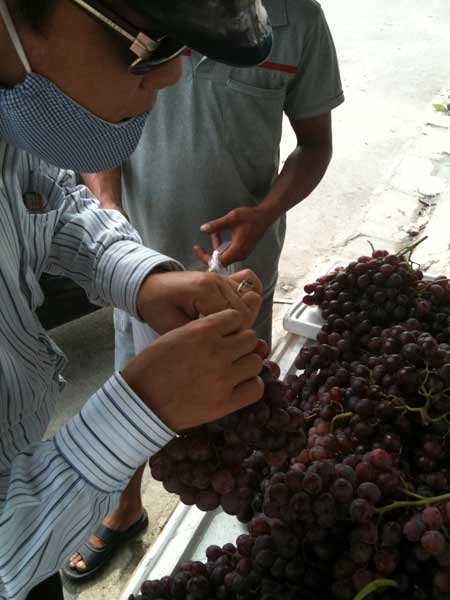 Trong khi đó nho Mỹ thật trái to vừa phải, màu vỏ sậm hơn, ăn có vị ngọt đậm đà, không có lớp vỏ phấn bên ngoài