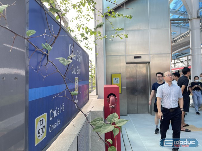 Lối đi bằng thang máy phục vụ người già, người khuyết tật. Ghi nhận trong ngày đầu tiên vận hành, hành khách khá ý thức và ít người sử dụng thang máy nếu không thuộc đối tượng ưu tiên. GDVN_4.jpg