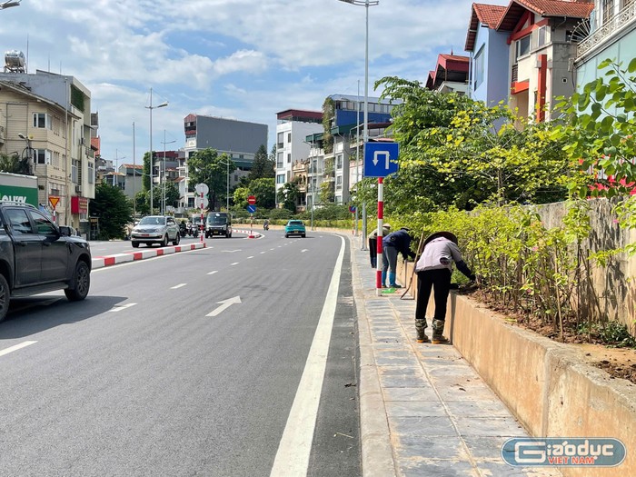 Đoạn từ khách sạn Thắng Lợi đến chợ hoa Quảng An đã cơ bản hoàn thiện, lác đác công nhân làm nhiệm vụ chăm sóc và trồng thêm cây xanh hai bên đường. GDVN_13.jpg